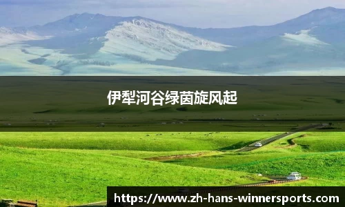 赢家体育APP